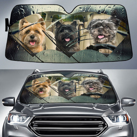 Cairn Terrier Rainy Driving Car Sun Shade Cover Auto Windshield Tendpins SO0384