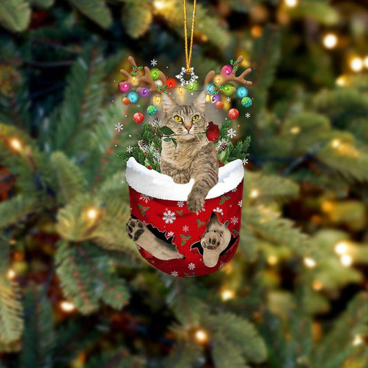 LaPerm Cat In Snow Pocket Christmas Ornament Flat Acrylic Cat Ornaments OO3816