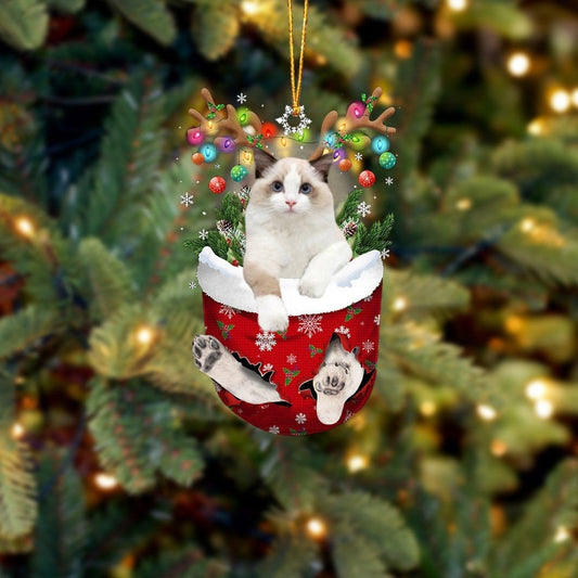 White Ragdoll Cat In Snow Pocket Christmas Ornament Flat Acrylic Cat Ornaments OO3812