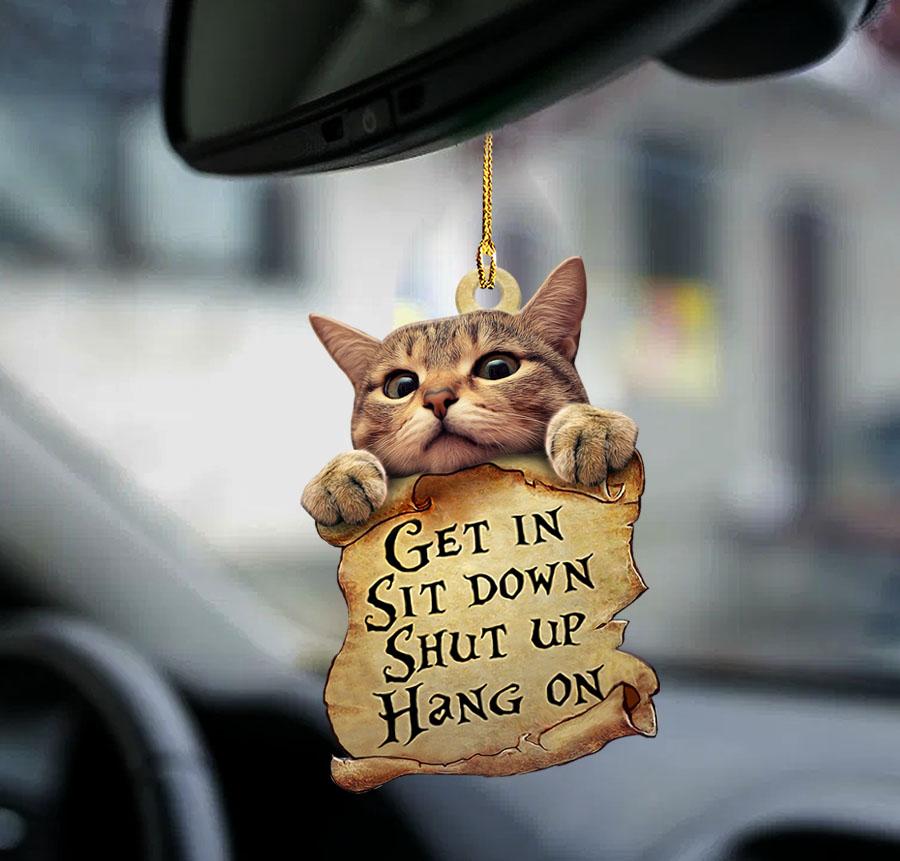 Cat get in cat lover two sided ornament, Funny Cat Ornaments OO0177