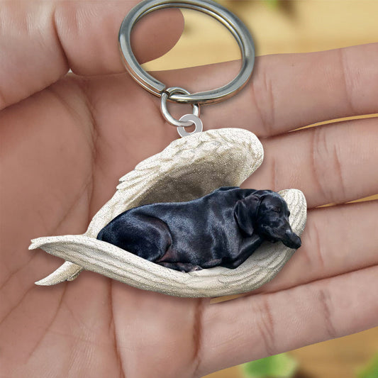 Black Labrador Sleeping Angel Acrylic Keychain Dog Sleeping Keychain Tendpins KO0172