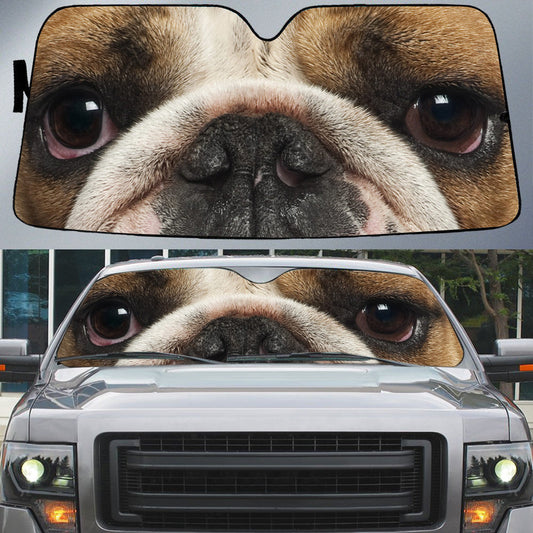 English Bulldog's Eyes Beautiful Dog Eyes Car Sun Shade Cover Auto Windshield SO0382