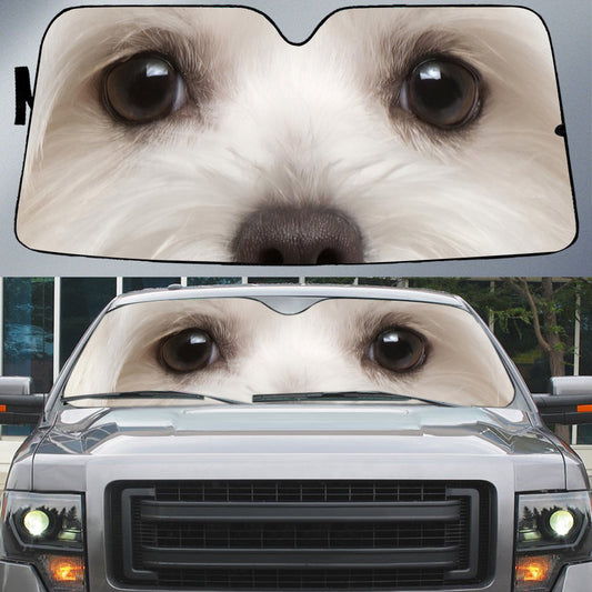 Maltese's Eyes Beautiful Dog Eyes Car Sun Shade Cover Auto Windshield SO0380