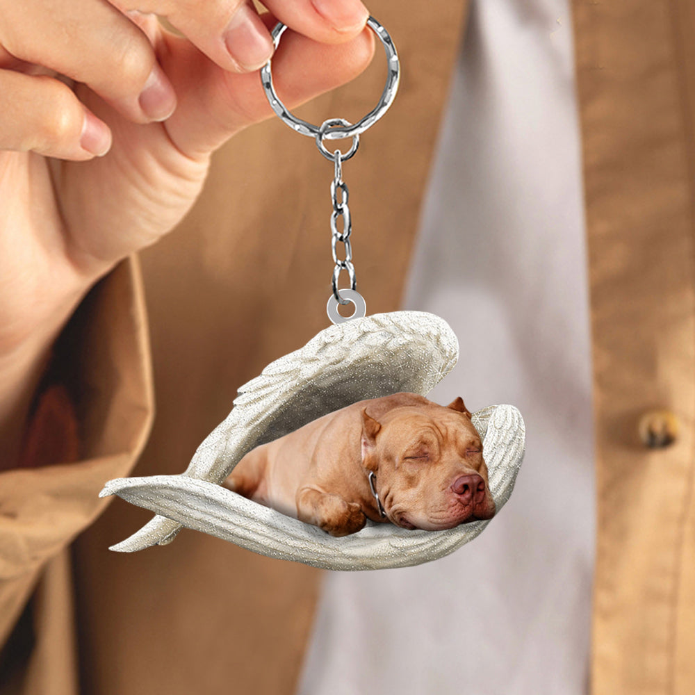 Pit Bull Sleeping Angel Acrylic Keychain Dog Sleeping keychain KO0242