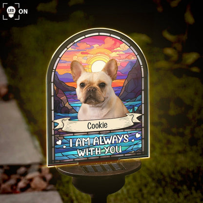 Custom Loss of Pet I'm Always With You Photo Solar Garden Light, Personalized Pet Memorial Light, Pet Remembrance Gift, Pet Sympathy Gift SGL0005