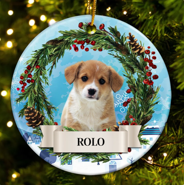 Custom Photo Lovely Pet Face - Christmas Gift For Pet Lovers, Pet Memorial - Personalized Circle Ceramic Ornament OW0002